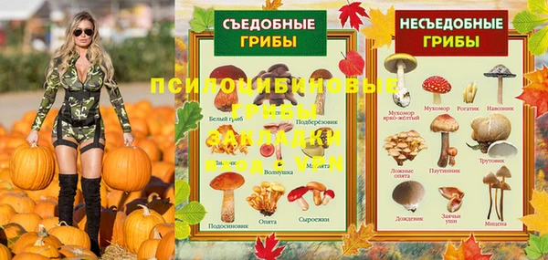 PSILOCYBIN Нязепетровск