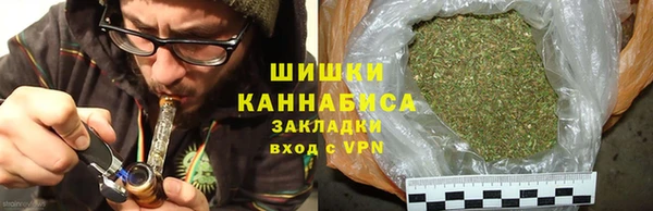 крисы Балахна