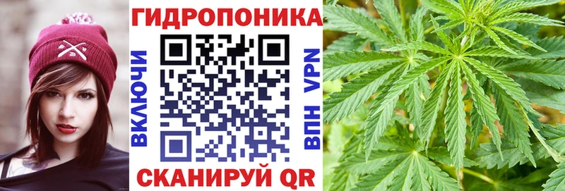 МАРИХУАНА конопля Красный Сулин